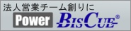 PowerBISCUE